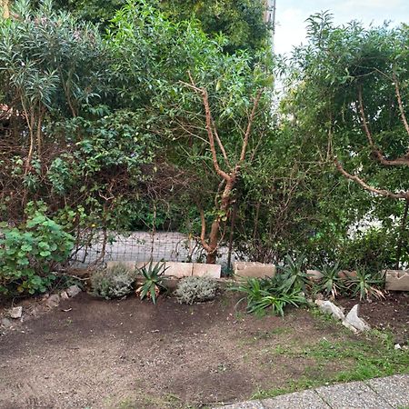Appartamento Con Giardino A 50 M Dal Mare LʼÎle-Rousse Esterno foto