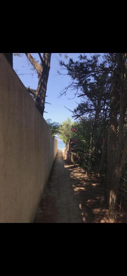 Appartamento Con Giardino A 50 M Dal Mare LʼÎle-Rousse Esterno foto