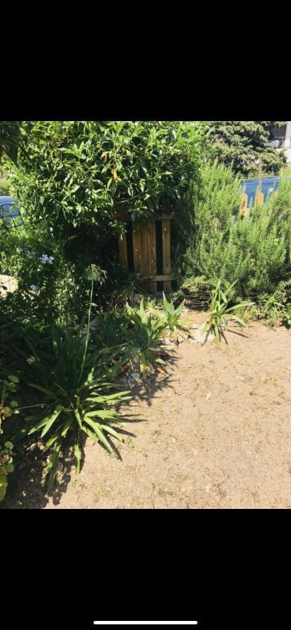 Appartamento Con Giardino A 50 M Dal Mare LʼÎle-Rousse Esterno foto