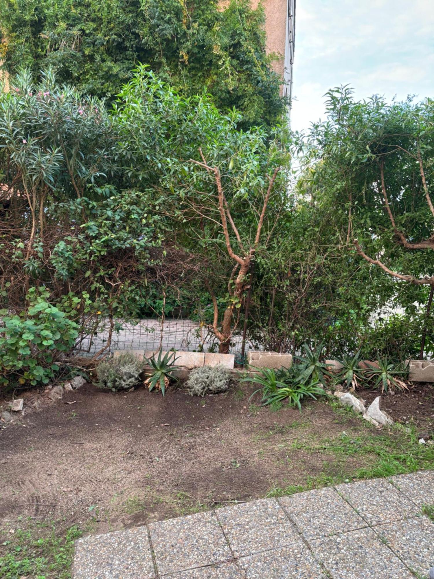 Appartamento Con Giardino A 50 M Dal Mare LʼÎle-Rousse Esterno foto